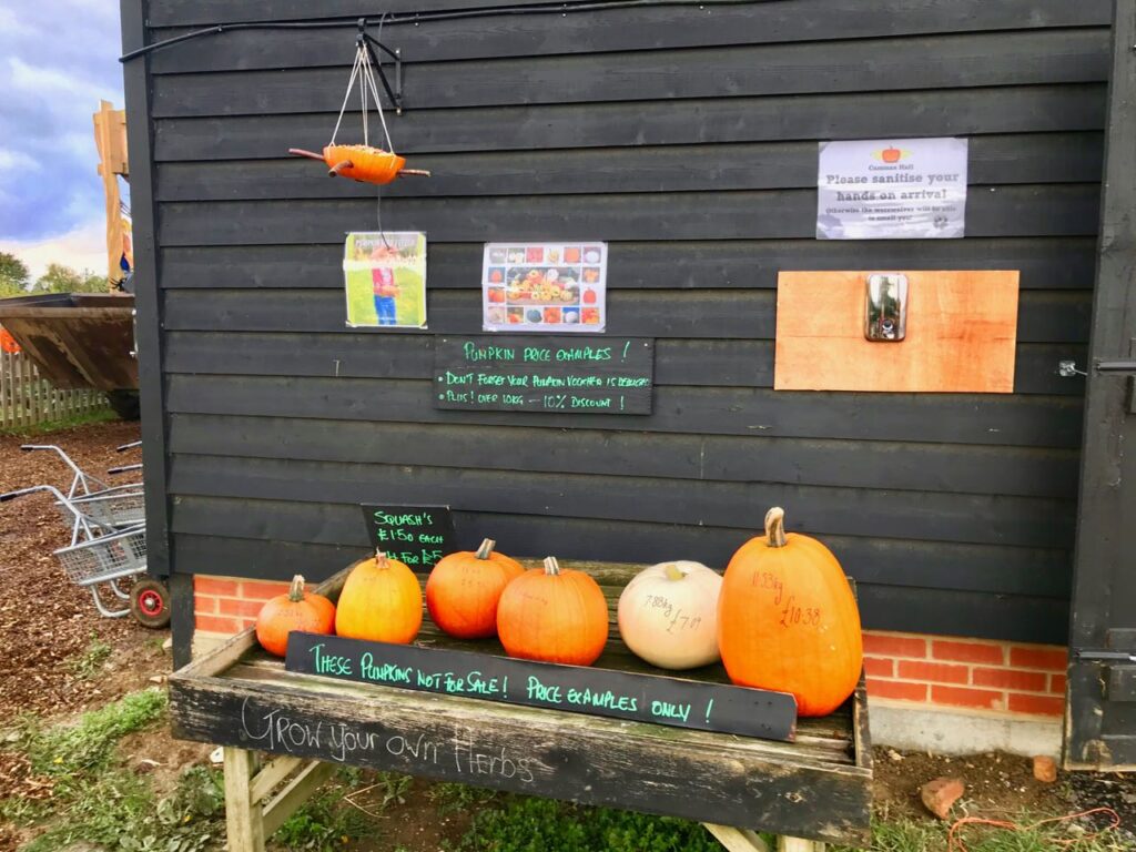 pumkpin-prices-cammas-hall-farm