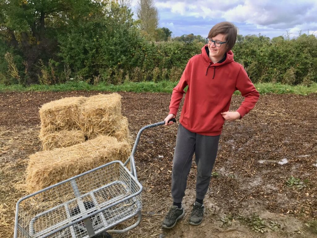 hay-bale-child-pushing-trolley