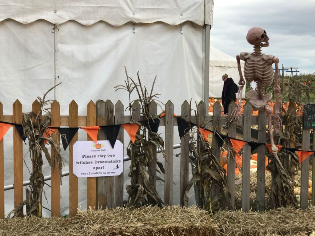 safe-social-distancing-pumpkin-farm