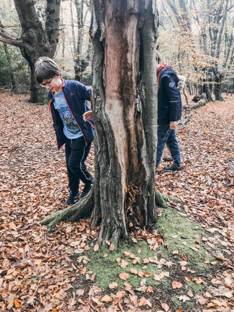 Children on a nature scavenger treasure hunt