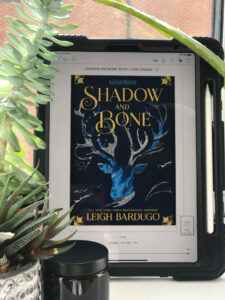 Shadow and Bone book for Netflix series