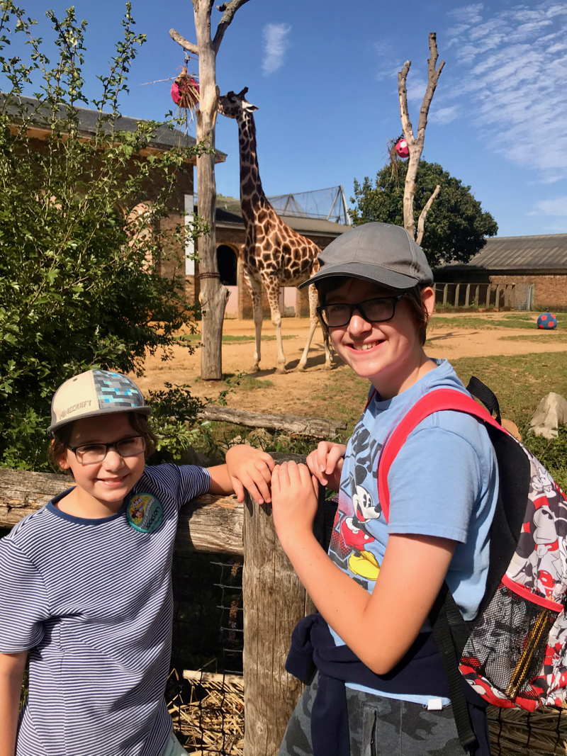ZSL London Zoo teens and tweens summer bucket list 
